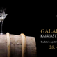 Největší výstava vín a destilátů z celého světa Kaiserštejnský palác 2015